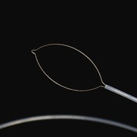 Tipo Net Forceps Corporals estrangièrs .