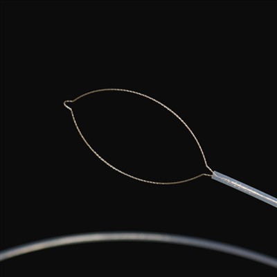 Manjas Tipe de Forçaps Corporals estrangièrs .